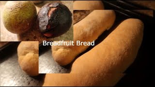 BREADFRUIT BREAD [upl. by Adnolat]