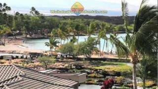 Kolea At Waikoloa Beach Big Island Hawaii [upl. by Mcneil213]