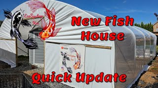 Quick Update New Fish House 🐟EcoSystem Koi Its been a while Koi Build [upl. by Apoor]