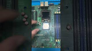 CPU installation Intel Xeon E3 1230v3 shorts [upl. by Sayed]