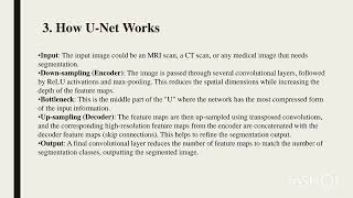 MEDICAL IMAGE SEGMENTATION USING UNET ARCHITECTURE [upl. by Eugenle]