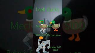 Duck Store [upl. by Pelligrini]