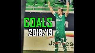 Jakub SWIERCZOK  LUDOGORETS  Goals amp Skills 201819 [upl. by Nynahs]