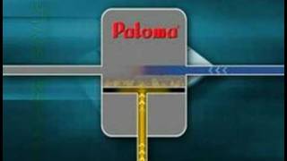 Paloma Tankless Water Heaters [upl. by Zuzana805]