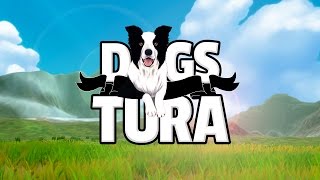 dogs of tura [upl. by Aidaas425]