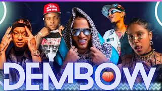 DEMBOW MIX VOL 14🎶 LOS DEMBOW MAS PEGADO DEL MUNDO 🌍 2023 🎤 DJ ZAPZAP [upl. by Rob]