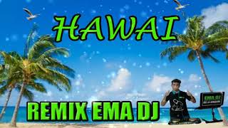 HAWAI ✘ MALUMA ✘ REMIX EMA DJ DE SAN JUAN ARGENTINA [upl. by Hibbert]