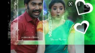 vanathai pola sad bgm in tamil [upl. by Mohsen637]