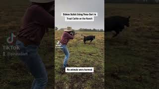 Sidnee Gulick Using PneuDart to Treat Cattle on the Ranch [upl. by Yor916]