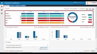 Ascent AutoRecon Demo 2021  Automated Bank Reconciliation Software [upl. by Jorie]