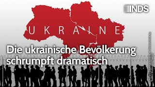 Die ukrainische Bevölkerung schrumpft dramatisch  Gábor Stier  NDSPodcast [upl. by Atinnod]