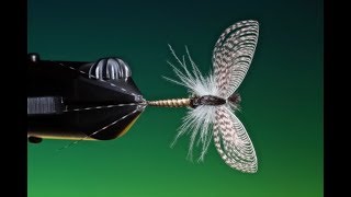 Fly Tying a mayfly dry fly spinner with Barry Ord Clarke [upl. by Imekawulo]