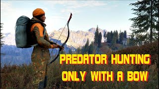 🔴 PREDATOR HUNTING ONLY WITH A BOW The Hunter Call of the Wild™ [upl. by Breen]