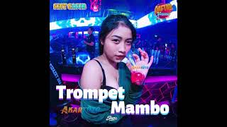 DJ TROMPET MAMBO JUNGLE DUTCH  MIXTAPE  SUPERGACOR [upl. by Atteiram69]