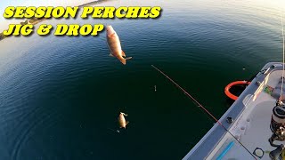 Session PERCHE en DROP SHOT et JIG METAL au Lac du Der  FeatAnaelle [upl. by Navnod864]