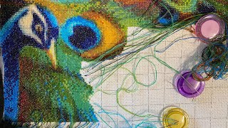 Cross Stitch Stitch With Me 306 with talking [upl. by Nwahsyar]