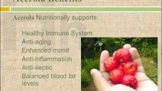 Acerola Cherries  Acerola Berry Health Benefits amp Vitamin C [upl. by Alegnasor866]