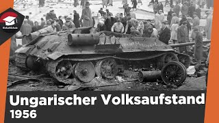 Ungarischer Volksaufstand 1956 einfach erklärt  Ursache Ablauf und Folgen  kurze Zusammenfassung [upl. by Rist870]