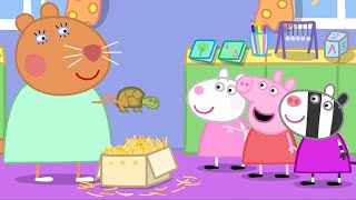 Peppa Pig Nederlands  Dokter Hamsters Schildpad  Tekenfilms voor kinderen [upl. by Duwad]