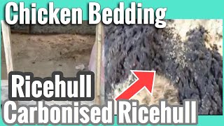 HOW TO MAKE CHICKEN BEDDING  NEWLY RENOVATED CHICKEN HOUSE [upl. by Shoemaker]