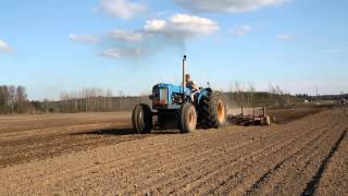 Fordson Major 6 syl äestää  6 cyl Major harrowing 1080P HD [upl. by Schuh]