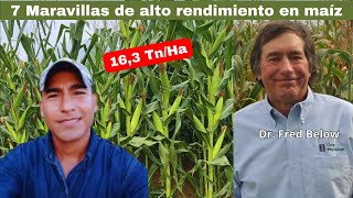 REVELADO Las 7 Maravillas De Alto Rendimiento en Maíz 🌽  Dr Fred Below [upl. by Bardo]