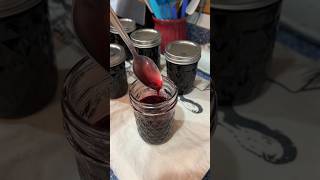 How to make chokecherry syrup shorts chokecherry canning syrup recipe [upl. by Neda]