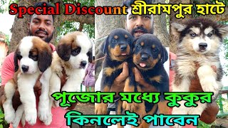 Cheapest Price Dog In Serampore  Recent Dog Puppy Price Update  Serampore Pet Market  Dogs [upl. by Nahtanod]