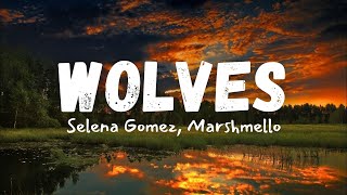 Selena Gomez Marshmello  Wolves Lyrics [upl. by Savill]