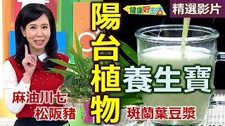 【健康好生活 超精彩回顧】「陽台」上的寶妙用多！省錢健康又養生  香椿鮮蔬優格 羅勒歐姆蛋 麻油川七炒菇 斑蘭豆漿 香草焗雞腿排 [upl. by Ithsav]