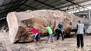 King kayu trembesi super mewah asal toraja seharga 15 milyar  digergaji bahan papan I sawmill [upl. by Ylenats925]