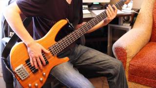 Korn  Narcissistic Cannibal bass cover [upl. by Nnalorac]