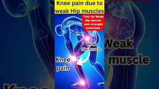 Knee pain causes due to weak Hip muscles test strength of Hip musclesknee pain solutiontreatment [upl. by Negeam783]