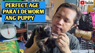 HOW TO DEWORM YOUR PUPPIES AT HOME1ST DEWORMING NILA [upl. by Hansiain450]