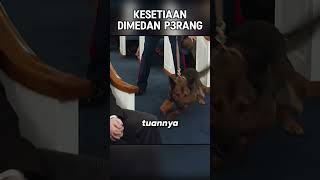 KESETIAAN TERAKHIR DIMEDAN P3RANG [upl. by Rosdniw]