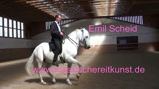 Piaffe Passage Training 1 Emil Scheid Klassische Reitkunst [upl. by Onilatac527]