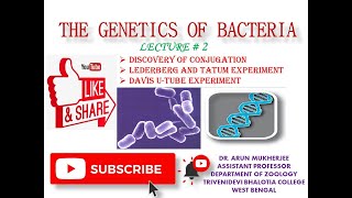 Lederberg amp Tatum experimentDavis utube experimentDiscovery of conjugation [upl. by Marr263]