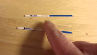 PREGNANCY TEST FALSE POSITIVE from POSITIVE Test [upl. by Koenraad139]