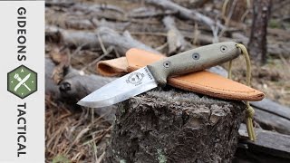 ESEE RB3 Scandi Knife I Need An RB4 [upl. by Dnalyk]