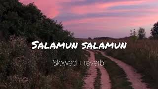 Salamun salamun Relaxing Nasheed  slowed reverb [upl. by Dyna]