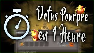 Dofus  Obtenir Le Dofus Pourpre de A à Z en 1H [upl. by Hajile]