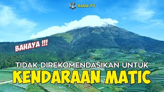 Sukomakmur Sebuah Desa Di Lereng Gunung Sumbing Yang Lagi Viral [upl. by Duma327]