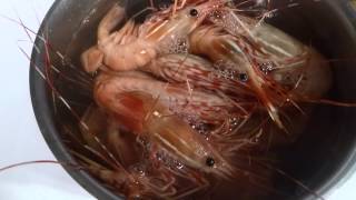 BC Spot Prawns water bolling for cooking [upl. by Polivy94]