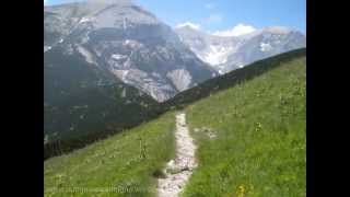 Quel mazzolin di fiori  canto popolare di montagna [upl. by Terra]