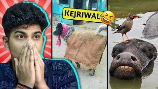 ये पागल जानवर बजा देंगे सबकी पुंगी🤣 FUNNIEST ANIMAL MOMENTS CAUGHT ON CAM [upl. by Castor]