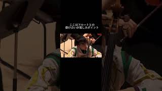 羽生選手のSEIMEI服でチェロ！Part1 ドボルザーク チェロ協奏曲 Dvorak Cello Concerto 羽生結弦 [upl. by Valentine704]