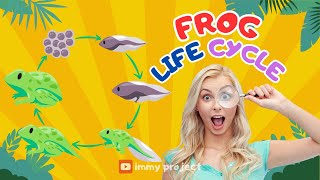 FROG LIFE CYCLE  EDUCATION VIDEO  ENGLISH VIDEO  ENGLISH EDUCATION [upl. by Novoj]