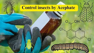 Acephate Insecticides Effective Pest Control Solutions in cotton fruits and vegetables [upl. by Pinckney]