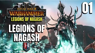 LEGIONS OF NAGASH  Legions of Nagash Mod  Total War Warhammer 3  Ep 1 [upl. by Dani]