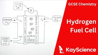 Hydrogen Fuel Cell Explained  GCSE Chemistry  kaysciencecom [upl. by Aitel767]